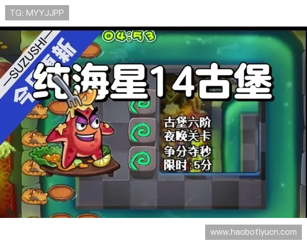 海星游戏中如何快速提升角色等级，实用攻略与技巧全攻略